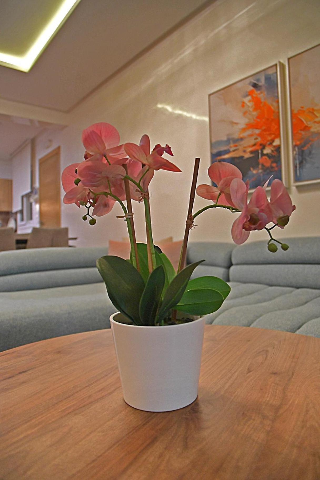 Inhome Apartment Cabo Negro Bagian luar foto